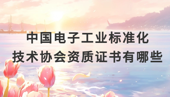 中國電子工業(yè)標準化技術(shù)協(xié)會資質(zhì)證書有哪些?