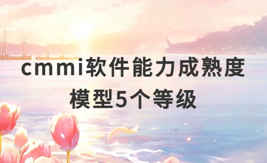 cmmi軟件能力成熟度模型5個等級的含義