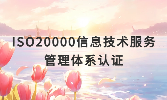 ISO20000信息技術(shù)服務(wù)管理體系認(rèn)證流程及條件是什么?