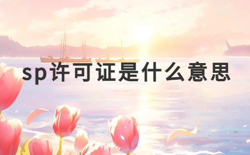 sp許可證是什么意思?怎么辦理?