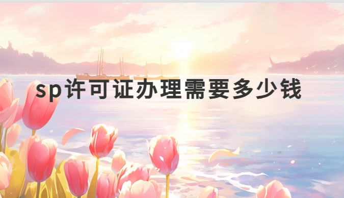 sp許可證辦理需要多少錢
